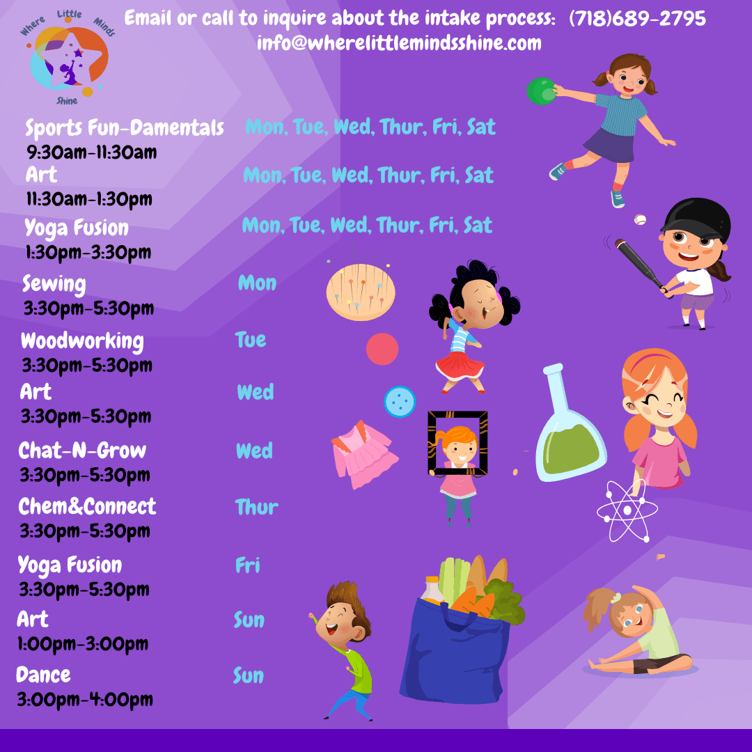 Schedule of Integrated Activites